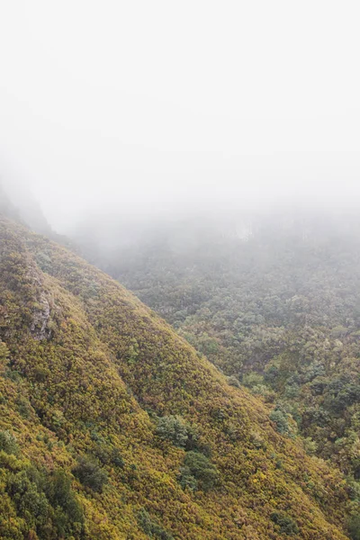 Pure Unspoilt Nature Long Steep Mountainsides Levada Fontes Trail Island —  Fotos de Stock