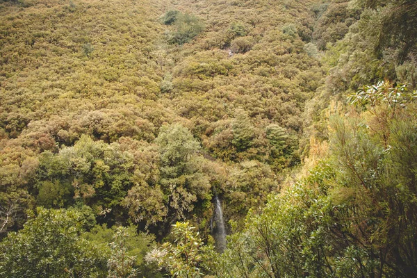 Natureza Pura Intocada Nas Longas Encostas Íngremes Levada Fontes Ilha — Fotografia de Stock