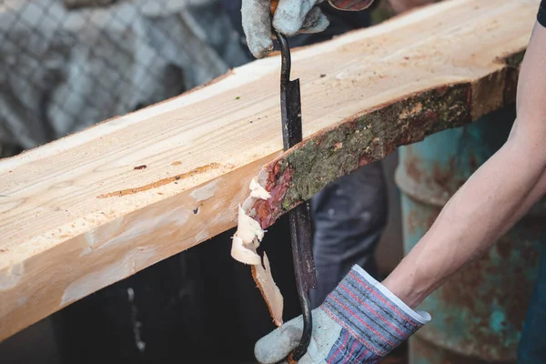 Šikovný Dřevorubec Připravuje Modřínové Dřevo Pro Pozdější Zpracování Hoblování Dřeva — Stock fotografie