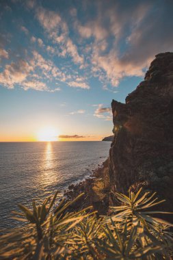 Atlantik Okyanusu kıyısında gün batımı ve Portekiz 'in Madeira adasındaki Ponta do Sol' da kayalar. Canhas bölgesinde vahşi yaşam.