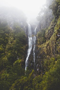 Majestic Risco şelalesi Portekiz 'in Madeira adasına sise ve yağmura gömüldü. Avrupa 'da büyülü yerler keşfetmek.