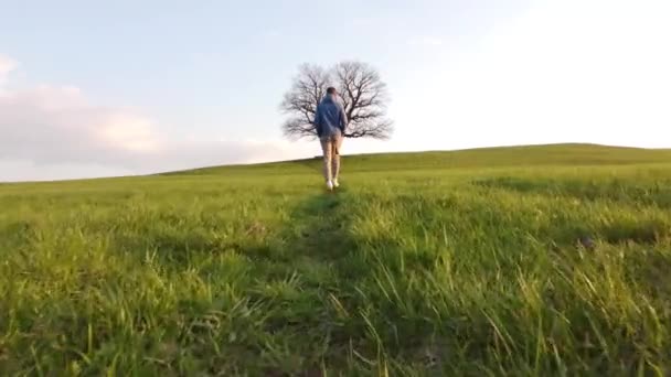 Mladý Chlapec Stylovém Oblečení Kráčí Loukou Slunečného Dne Při Západu — Stock video