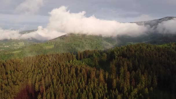 Tembakan Drone Dari Hutan Beskydy Setelah Hujan Yang Menciptakan Kabut — Stok Video