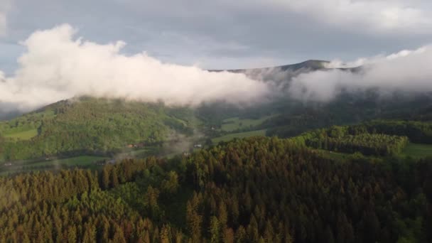 Drohnenaufnahmen Der Beskiden Wälder Nach Regen Der Nebel Über Den — Stockvideo