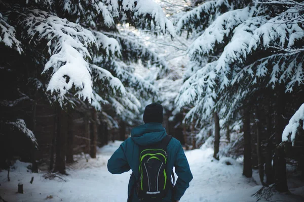 Подорожуючий Зимовим Одягом Ходить Бескідських Горах Чеській Території Прогулянка Морозним — стокове фото