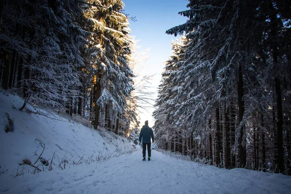 Ενεργός Πεζοπόρος Περπατά Κατά Μήκος Ενός Δασικού Μονοπατιού Στο Χιόνι — Φωτογραφία Αρχείου