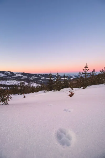 波兰别斯基底山脉巴拉尼亚戈拉美丽的日出俯瞰着即将出现的山谷 一个寒冷而寒冷的早晨 动物踪迹 — 图库照片