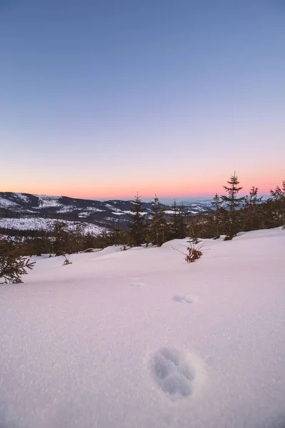 Fabuloso Nascer Sol Barania Gora Nas Montanhas Beskydy Polonesas Com — Fotografia de Stock