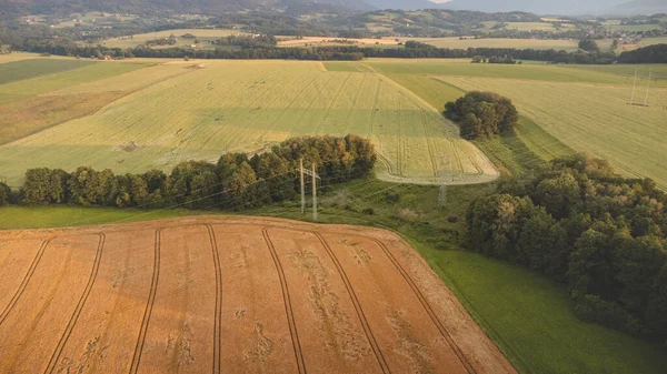 View Grain Field Fields Various Vegetation Kyjov South Moravia Czech — ストック写真