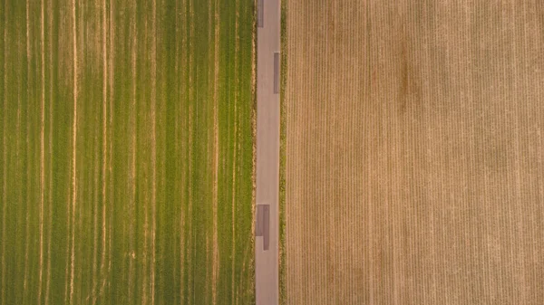 View Grain Field Fields Various Vegetation Kyjov South Moravia Czech — Stockfoto