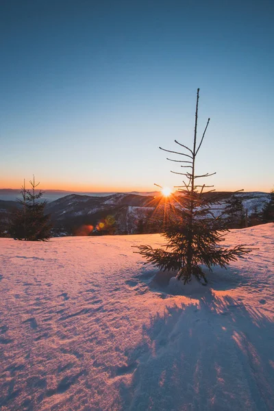 Herrlicher Sonnenaufgang Über Barania Gora Den Polnischen Beskiden Mit Blick — Stockfoto