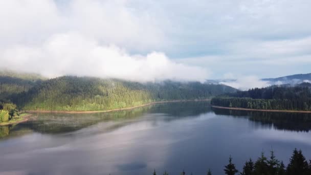 Спокойная Поверхность Озера Отражает Окружающий Пейзаж Состоящий Деревьев Непроницаемого Тумана — стоковое видео