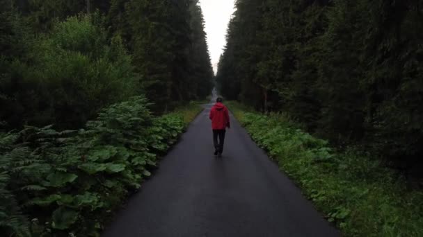 Man Red Jacket Walking Forest Path Rain Surrounded Tall Healthy — Stockvideo