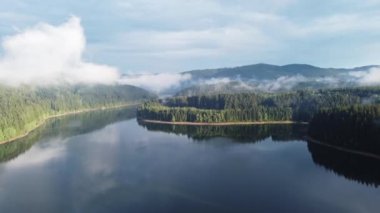 Calm surface of the lake reflects the surrounding scenery made up of trees and impermeable fog that brings moisture to the area. 4k video