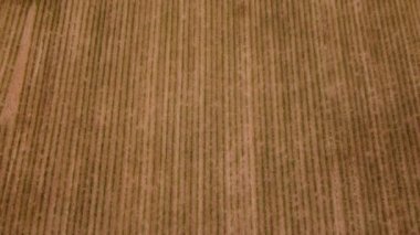 Aerial view of agricultural fields, orchards, flowerbeds to create enough resources for humanity. Scenery of farms. Yellow and orange. Diversity of crops. Rainbow on the ground