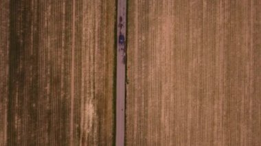 Road on which the car drives divides two huge fields to create a sufficient supply of resources. Beautiful agricultural scenery. Yellow and orange