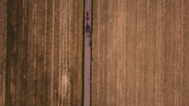 Road Which Car Drives Divides Two Huge Fields Create Sufficient — Stock videók