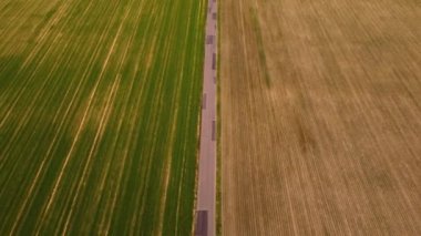 Road on which the car drives divides two huge fields to create a sufficient supply of resources. Beautiful agricultural scenery. Yellow and orange
