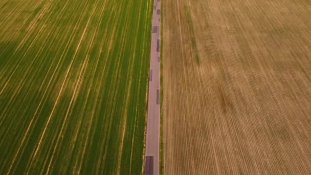 Road Which Car Drives Divides Two Huge Fields Create Sufficient — Stock videók