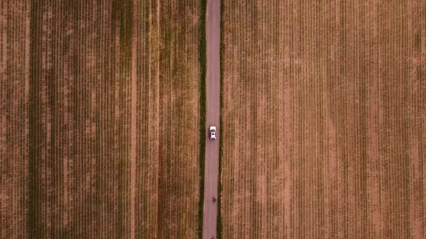 Road Which Car Drives Divides Two Huge Fields Create Sufficient – stockvideo