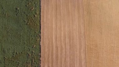 Aerial view of agricultural fields, orchards, flowerbeds to create enough resources for humanity. Scenery of farms. Yellow and orange. Diversity of crops. Rainbow on the ground