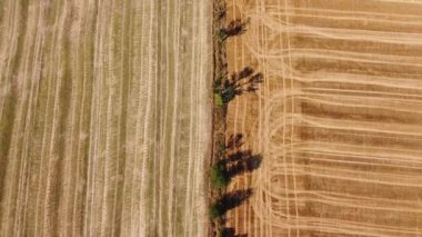 Aerial view of agricultural fields, orchards, flowerbeds to create enough resources for humanity. Scenery of farms. Yellow and orange. Diversity of crops. Rainbow on the ground