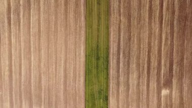 Aerial view of agricultural fields, orchards, flowerbeds to create enough resources for humanity. Scenery of farms. Yellow and orange. Diversity of crops. Rainbow on the ground