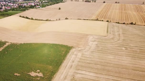 Aerial View Agricultural Fields Orchards Flowerbeds Create Enough Resources Humanity — Stock video