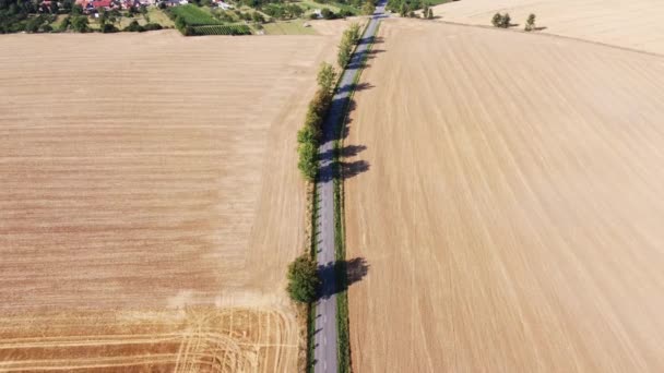 Road Which Car Drives Divides Two Huge Fields Create Sufficient — Stock Video