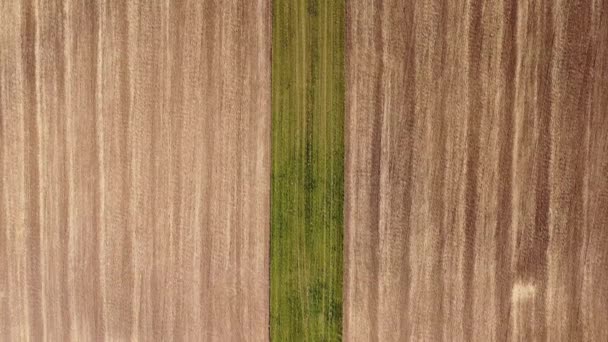Aerial View Agricultural Fields Orchards Flowerbeds Create Enough Resources Humanity — Αρχείο Βίντεο
