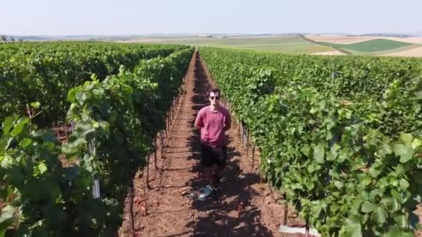 Aspiring Winemaker Goes His Crop Evaluates Vines Summer Wondering What — Vídeo de Stock