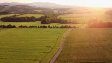 Road on which the car drives divides two huge fields to create a sufficient supply of resources. Beautiful agricultural scenery. Yellow and orange