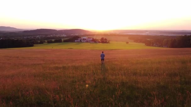 Thoughtful Man Colourful Shirt Walks Early Evening Light Meadow Teeming — Vídeo de Stock