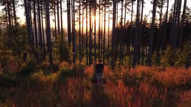 Young Ambitious Exploratory Tourist Who Walks Stump Watches Sunset Coniferous — Stock videók