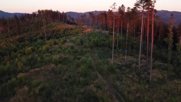 Hiker Backpack Walks Peaks Beskydy Mountains Longer Hike Scenery Forest — Stockvideo