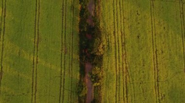 Aerial view of agricultural fields, orchards, flowerbeds to create enough resources for humanity. Scenery of farms. Yellow and orange. Diversity of crops. Rainbow on the ground