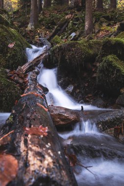 Famous Satiny waterfalls. Breathtaking, untouched nature around the water flowing down cascades creating mini waterfalls. Beskydy mountains, Czech republic, Central europe. Without human intervention.