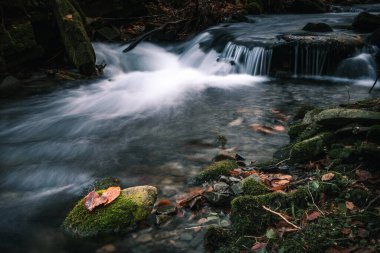 Water flowing in the Kytserov riverbed through the rocks creates small cascades around the banks, which are covered with colourful autumn leaves. Autumn is coming. Stare hamry, Czech republic, Europe.