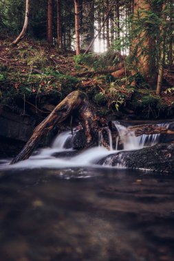 Famous Satiny waterfalls. Breathtaking, untouched nature around the water flowing down cascades creating mini waterfalls. Beskydy mountains, Czech republic, Central europe. Without human intervention.