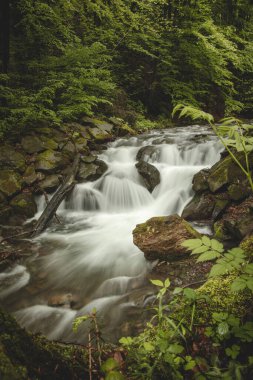 Famous Satiny waterfalls. Breathtaking, untouched nature around the water flowing down cascades creating mini waterfalls. Beskydy mountains, Czech republic, Central europe. Without human intervention.