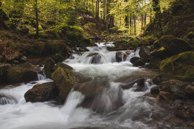 Famous Satiny waterfalls. Breathtaking, untouched nature around the water flowing down cascades creating mini waterfalls. Beskydy mountains, Czech republic, Central europe. Without human intervention.
