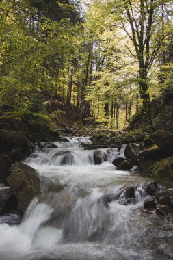 Famous Satiny waterfalls. Breathtaking, untouched nature around the water flowing down cascades creating mini waterfalls. Beskydy mountains, Czech republic, Central europe. Without human intervention.