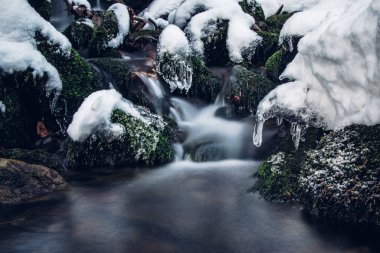 Travensky waterfall in the Visalaje area in the Beskydy mountains, eastern Czech Republic in a protected area. The water breaks through a layer of snow and fallen logs. Cleanliness and purity.