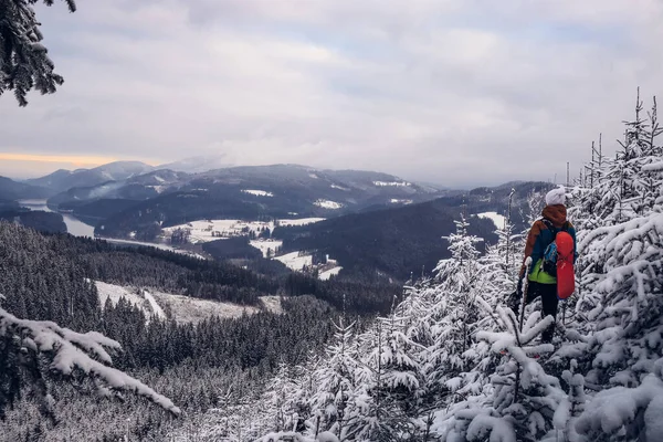 身穿五彩缤纷的冬季登山夹克 头戴白帽 面带微笑的年轻人的蜡像画 俯瞰着白雪覆盖的斯特雷庄园 那里是贝斯基迪山脉的最高处 — 图库照片