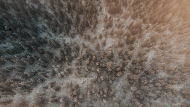 Fin kozalaklı ormanının sabah sisi altında güneşin turuncu ışığıyla aydınlanan havadan görünüşü. Sotkamo bölgesi, kainu bölgesi, Finlandiya. İskandinav ormanları.