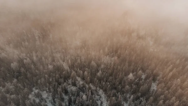 日の出のオレンジ色の光に照らされた 朝の霧の中の雪で覆われたフィンランドの針葉樹林の空中写真 フィンランドのカヌー地方のソタモ地域 北欧の森 — ストック写真