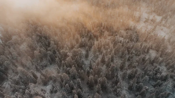 日の出のオレンジ色の光に照らされた 朝の霧の中の雪で覆われたフィンランドの針葉樹林の空中写真 フィンランドのカヌー地方のソタモ地域 北欧の森 — ストック写真