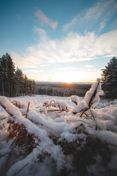 Ηλιοβασίλεμα Στο Λόφο Vimpelinvaara Κοντά Στο Kajaani Φινλανδία Ανέγγιχτο Χιονισμένο — Φωτογραφία Αρχείου
