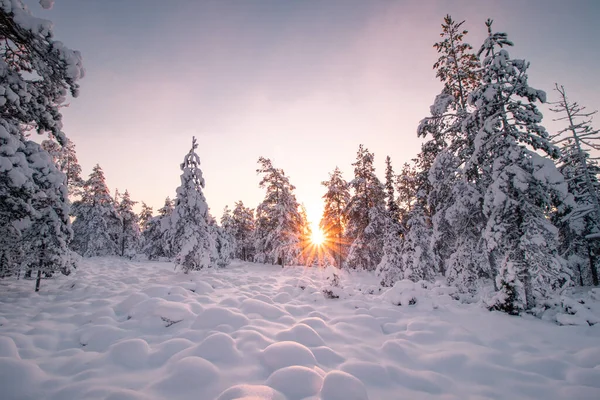 Вид Заснеженный Ландшафт Финской Тундры Время Восхода Солнца Районе Рованьми — стоковое фото