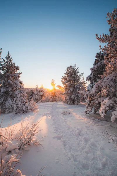 Εκπληκτικά Παγωμένο Πρωινό Μια Άποψη Στο Rovaniemi Μια Φινλανδική Πόλη — Φωτογραφία Αρχείου